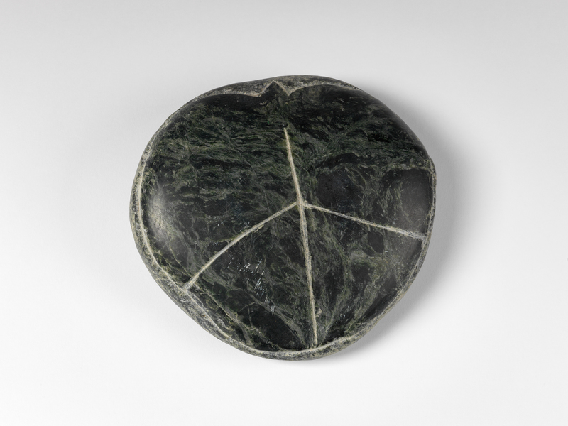 A smooth, round stone with green and black ripples. The other side looks like a beetle shell.