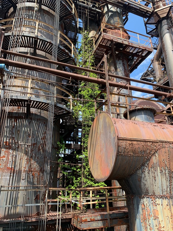 Greenery overtaking an industrial plant. Everything from the catwalks to the support towers are rusted.