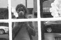 Black and white photograph of a window reflection showing a white woman wearing a disposable particle face mask. The window has a wooden grid frame that cuts across the reflection.